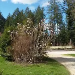 La Roussilhe 3*