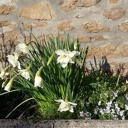 Nocleg ze śniadaniem La Roussilhe 3*