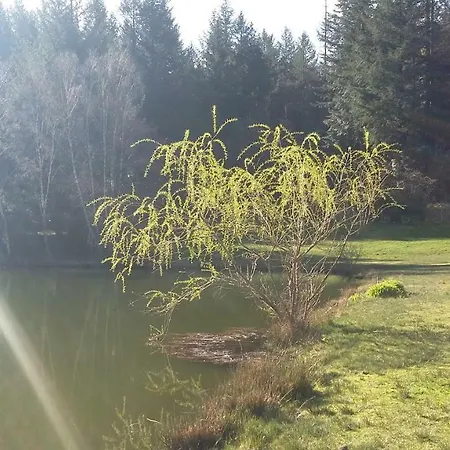 Nocleg ze śniadaniem La Roussilhe 3*