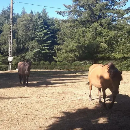 La Roussilhe Nocleg ze śniadaniem Sousceyrac