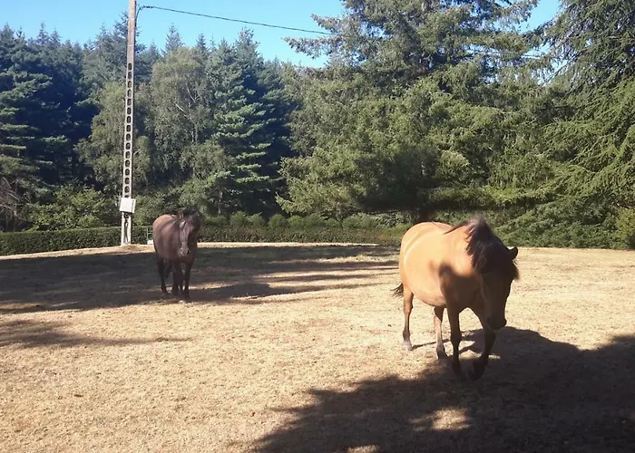 La Roussilhe Nocleg ze śniadaniem Sousceyrac