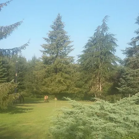 La Roussilhe Panzió Sousceyrac