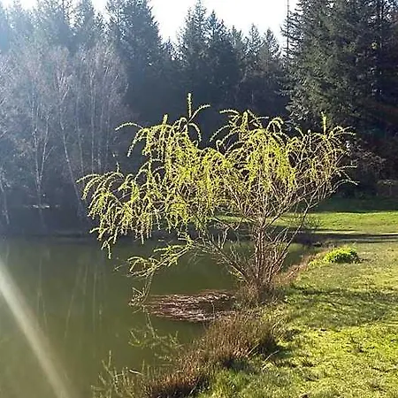 Oda ve Kahvaltı La Roussilhe