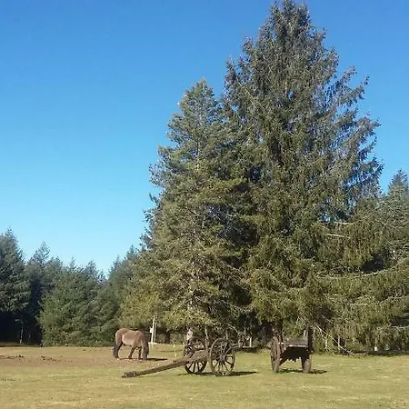 La Roussilhe Frühstückspension 3*