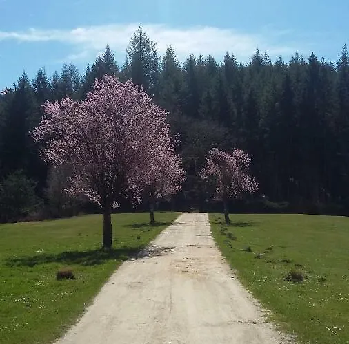 La Roussilhe Bed & Breakfast 3*