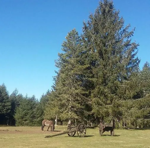 La Roussilhe Bed & Breakfast 3*